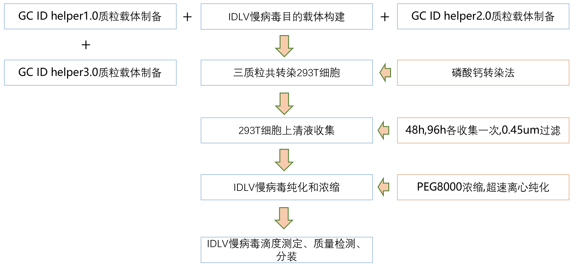 非整合慢病毒